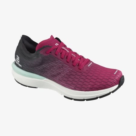 Scarpe Running Salomon SONIC 3 Accelerate W Donna Fucsia IT 7-Y47